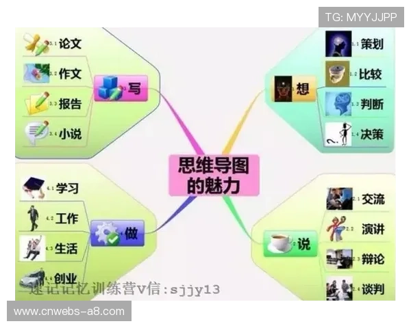 由单一信号流向全息信息流转变 体育赛事影像生产平台正在定义新观赛